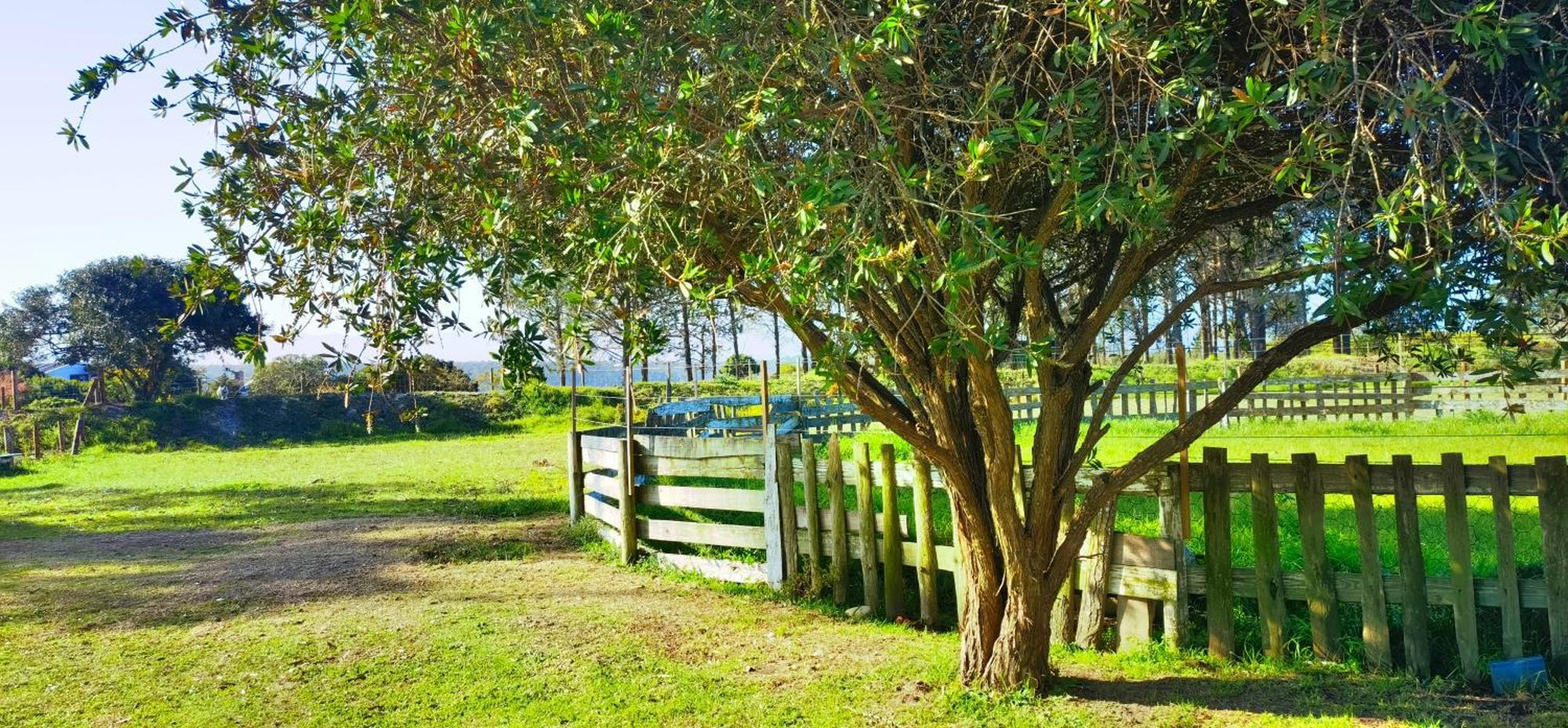 Moonsong Accommodation & Camping Plettenberg Bay Esterno foto