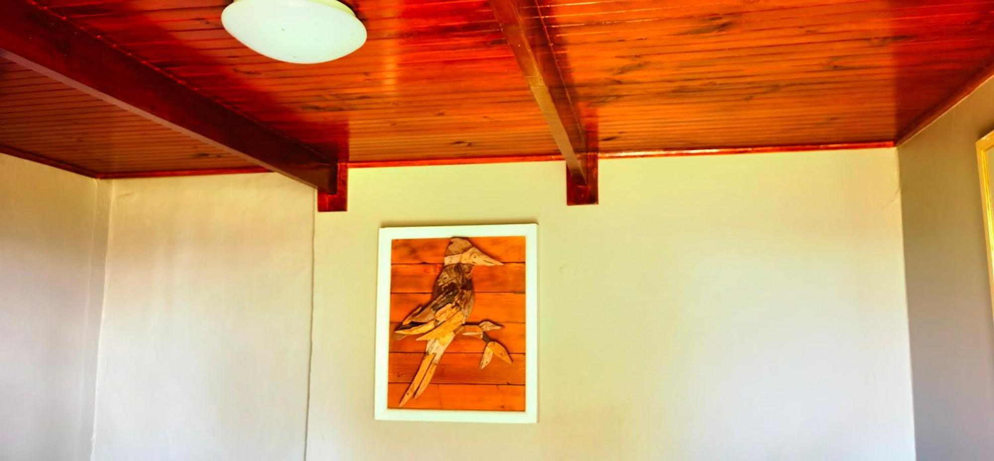 Moonsong Accommodation & Camping Plettenberg Bay Esterno foto
