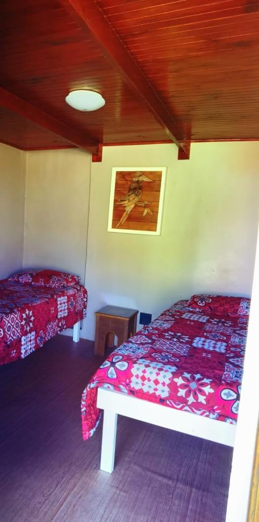 Moonsong Accommodation & Camping Plettenberg Bay Esterno foto